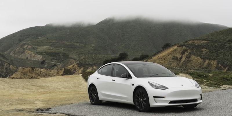 Tesla electric vehicle